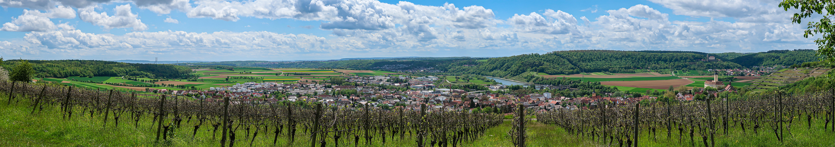 Blick über Gundelsheim ins Neckartal