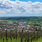 Blick über Gundelsheim ins Neckartal