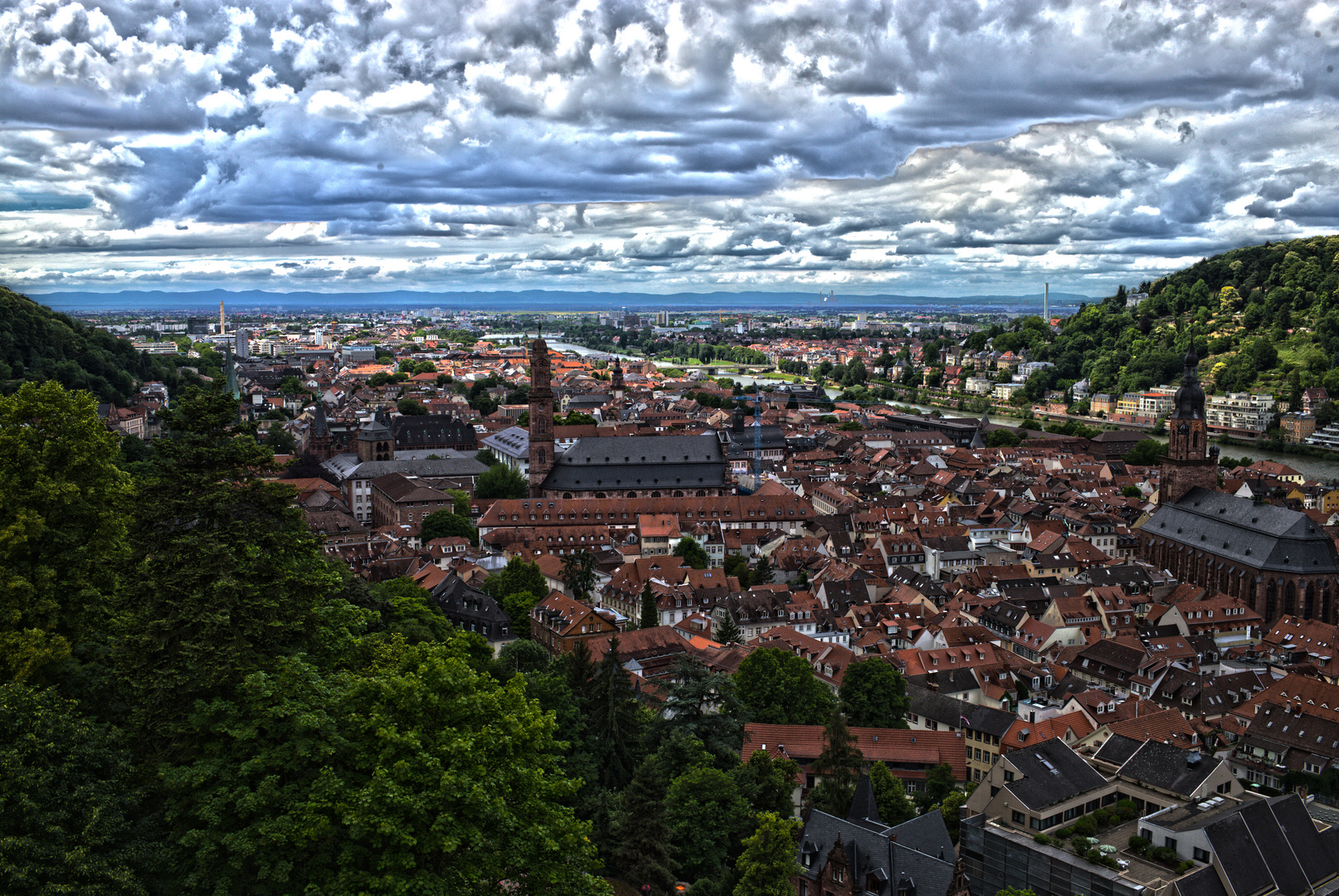 Blick über Heidelberg