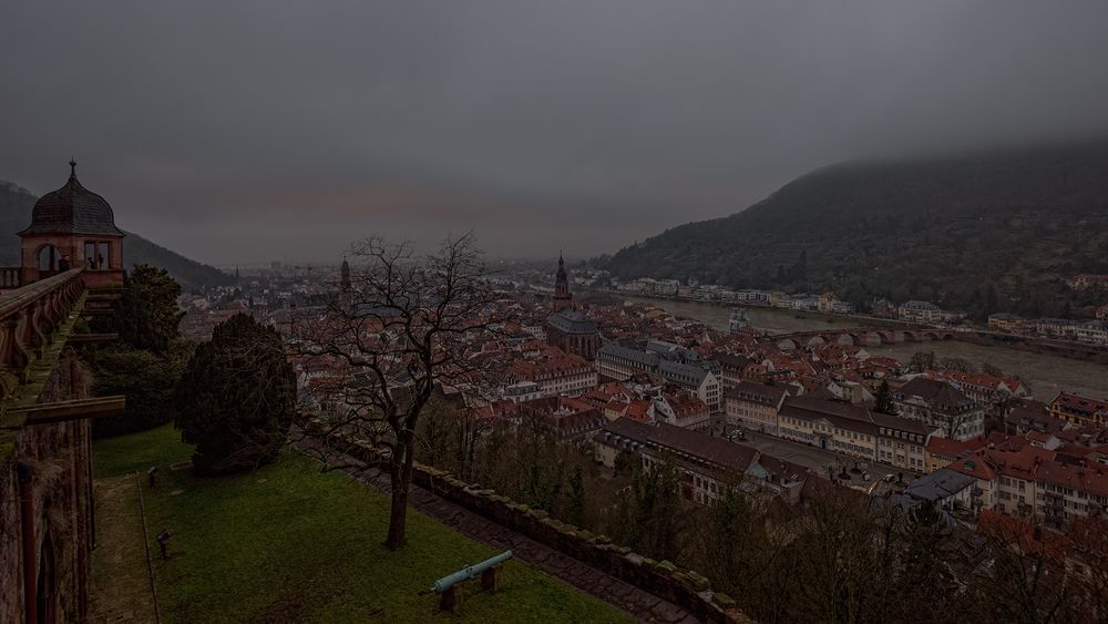 Blick über Heidelberg