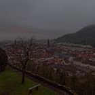 Blick über Heidelberg