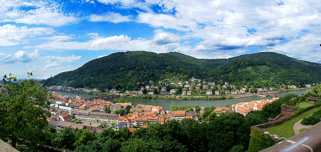 Blick über Heidelberg