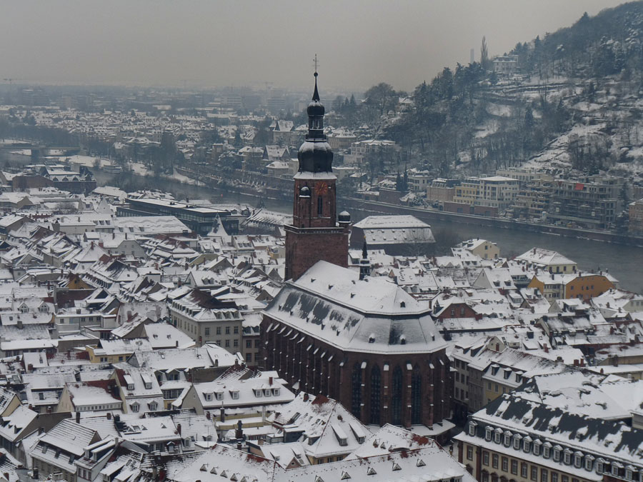 Blick über Heidelberg