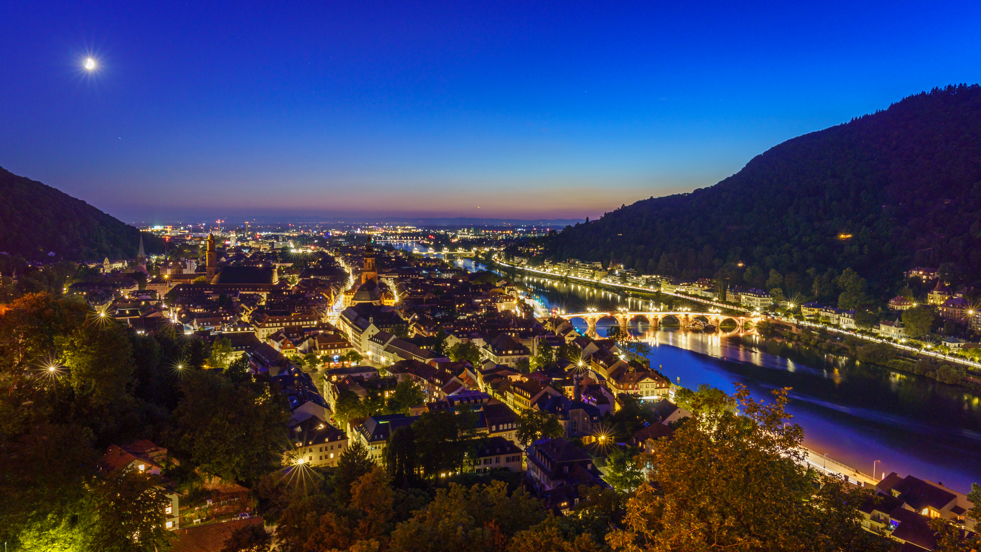 Blick über Heidelberg