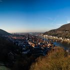 Blick über Heidelberg 