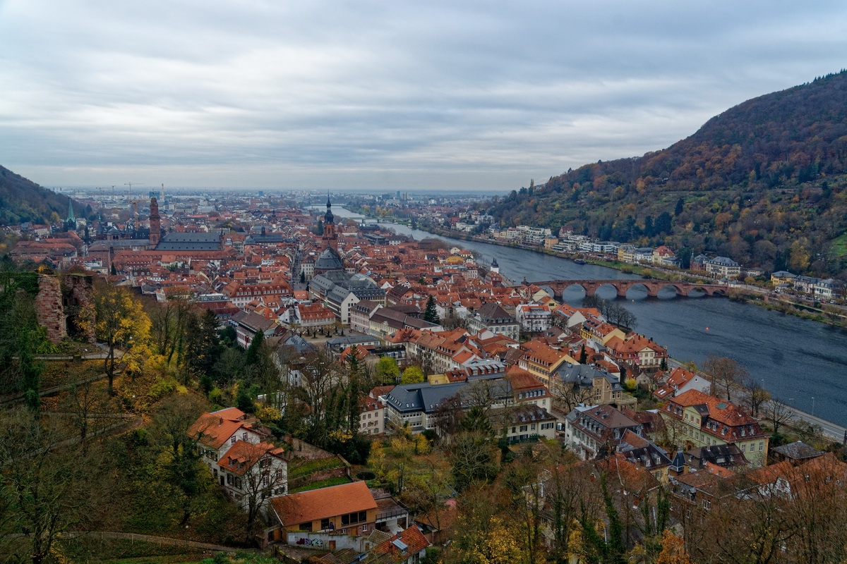 blick über Heidelberg