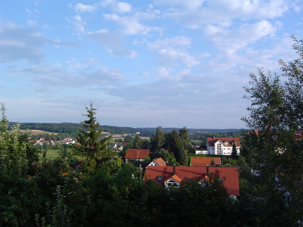 Blick über Ilmmünster