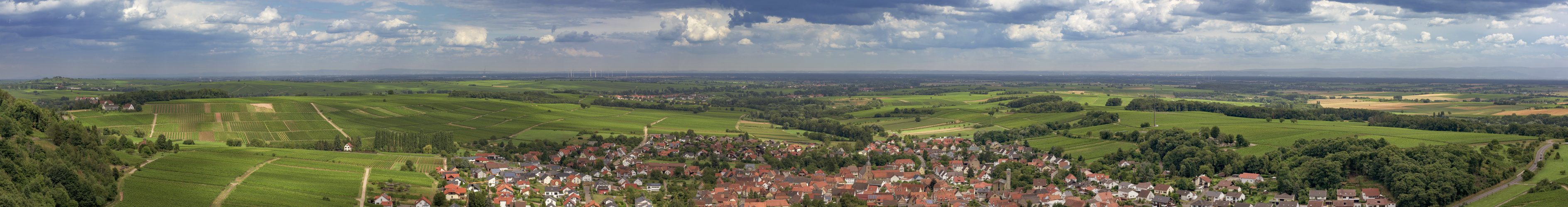 Blick über Klingenmünster 