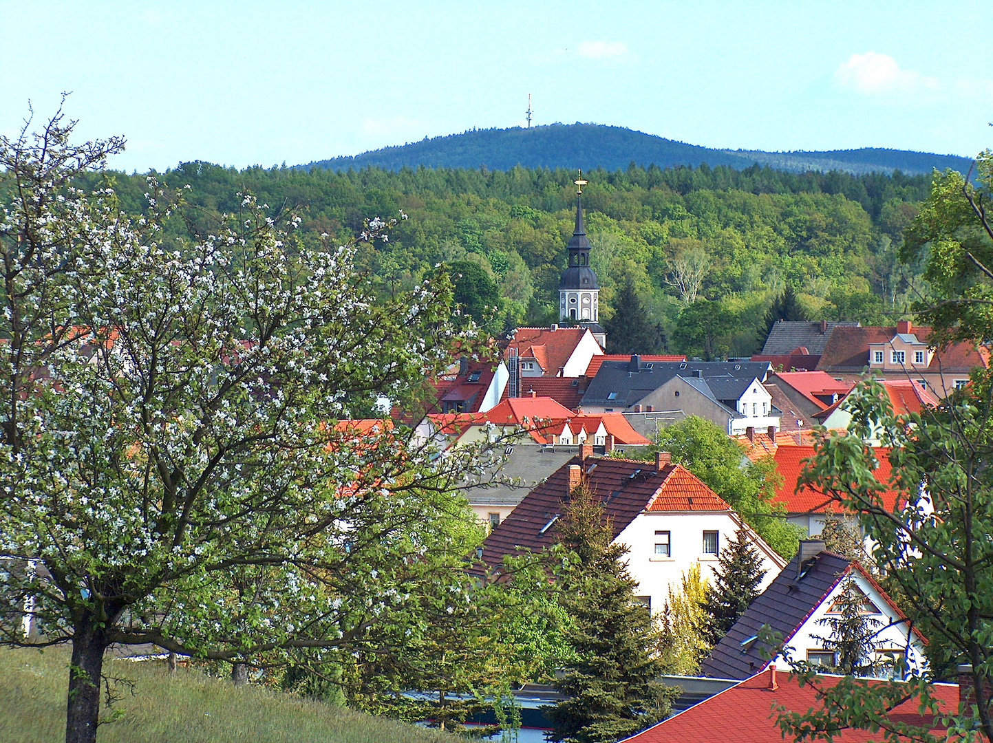 Blick über Königsbrück zum Keulenberg (Berg der Heimat)