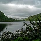 Blick über Kylemore Lough