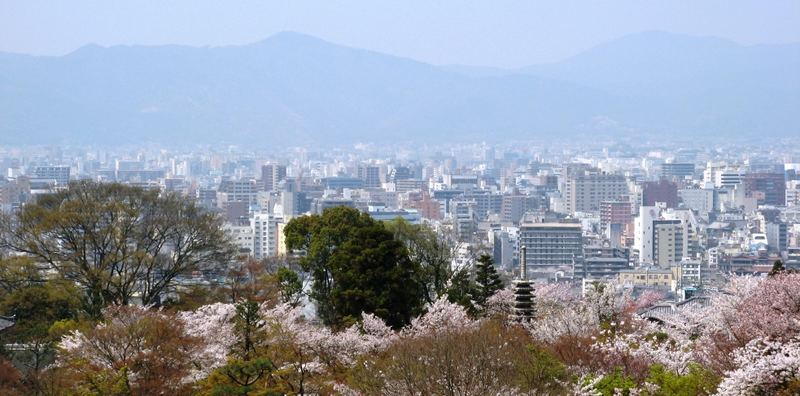 Blick über Kyoto während der Kirschblüte