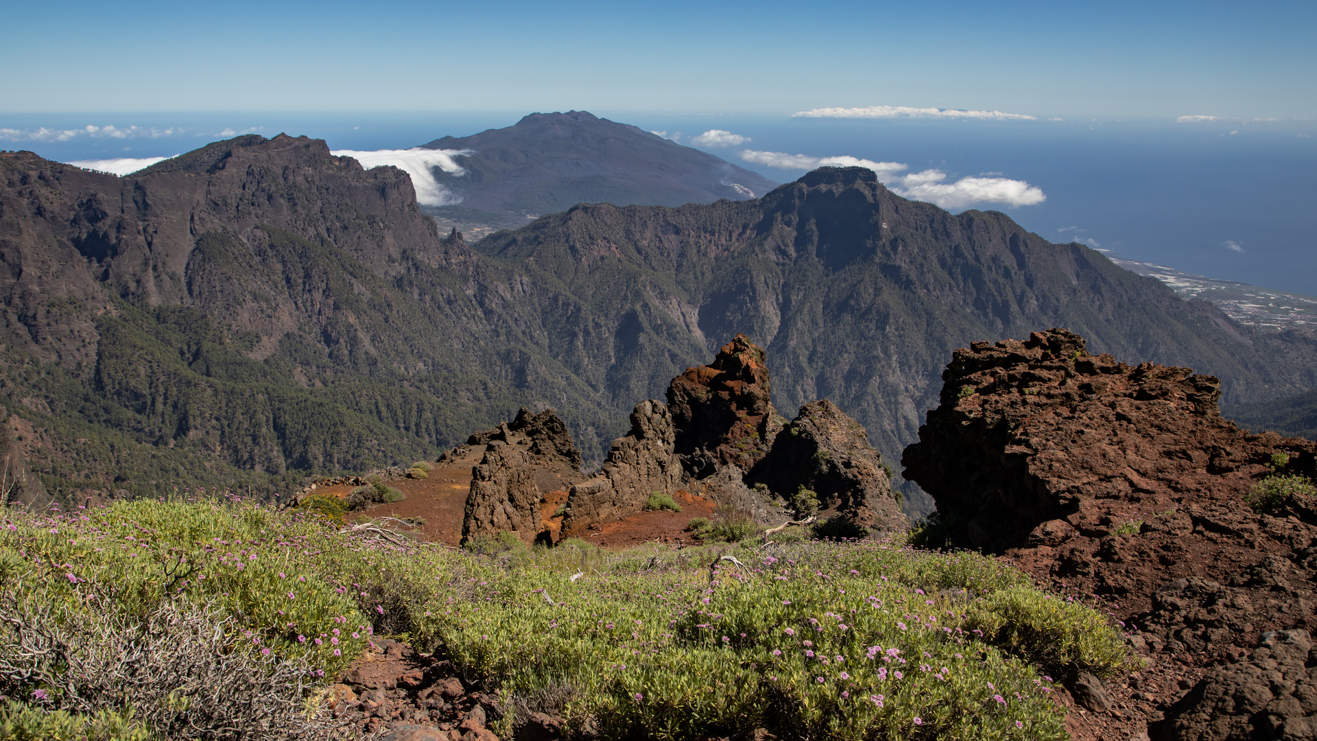 Blick über La Palma