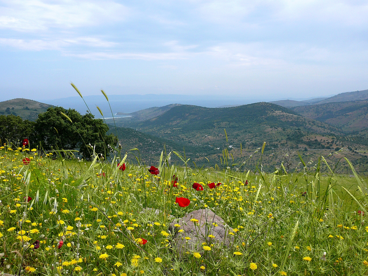 Blick über Lesvos