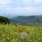 Blick über Lesvos