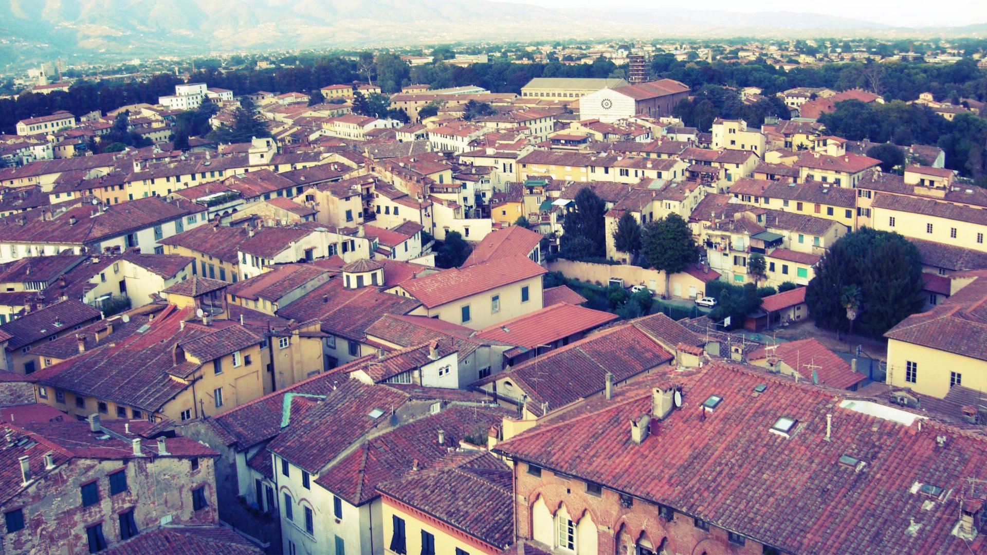 blick über lucca