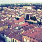 blick über lucca