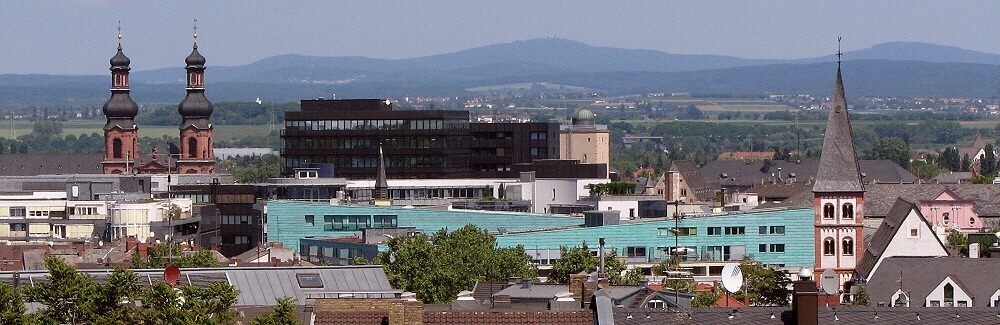 Blick über Mainz