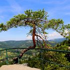 Blick über Mala Skala zur Burg Frydstein