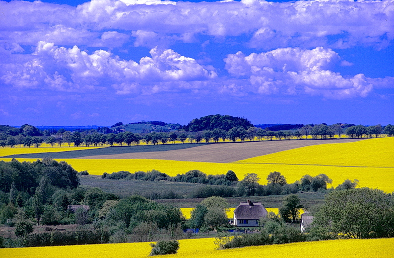 Blick über Mönchgut...