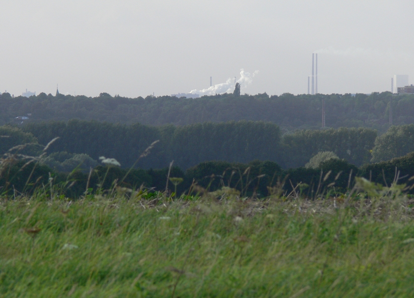 Blick über Mülheim hinweg