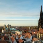 Blick über Münster