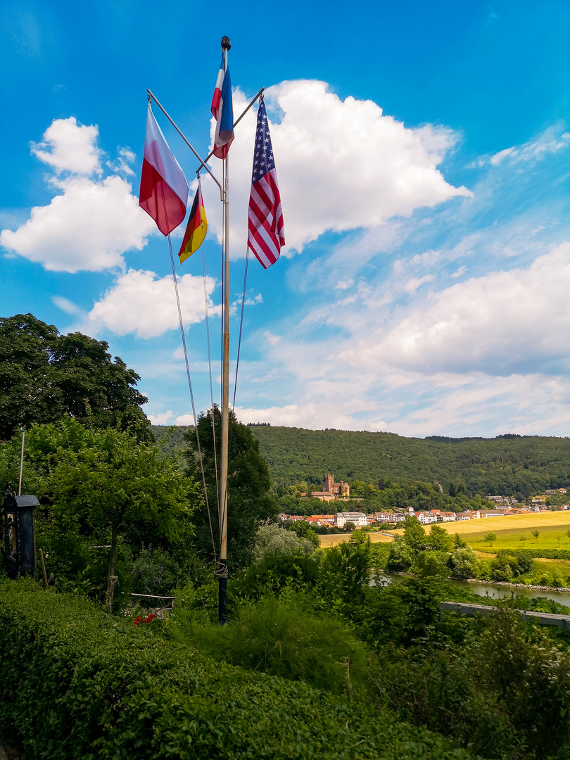 Blick über Neckarsteinach