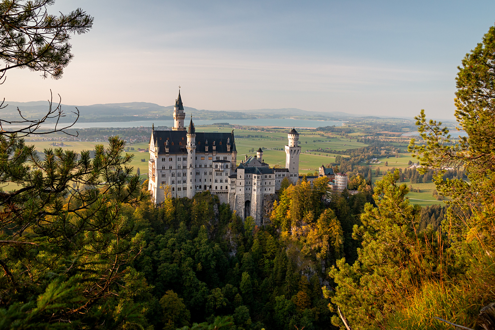 Blick über Neuschwanstein...