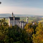 Blick über Neuschwanstein...