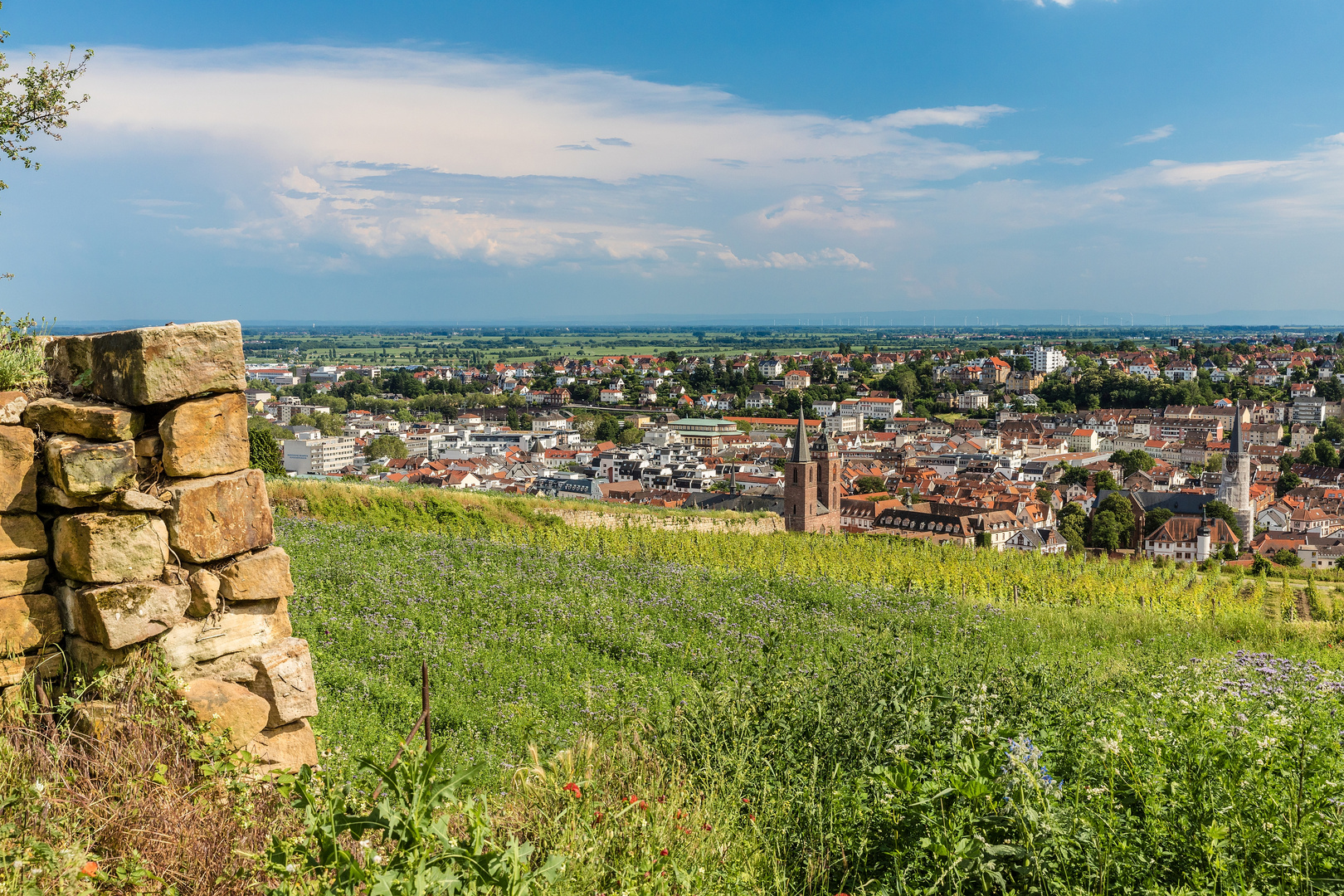 Blick über Neustadt