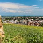 Blick über Neustadt