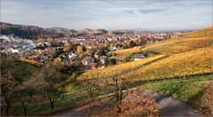 BLICK ÜBER OBERKIRCH.