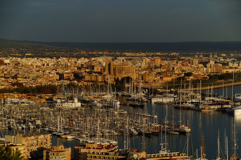 Blick über Palma bei Sonnenuntergang