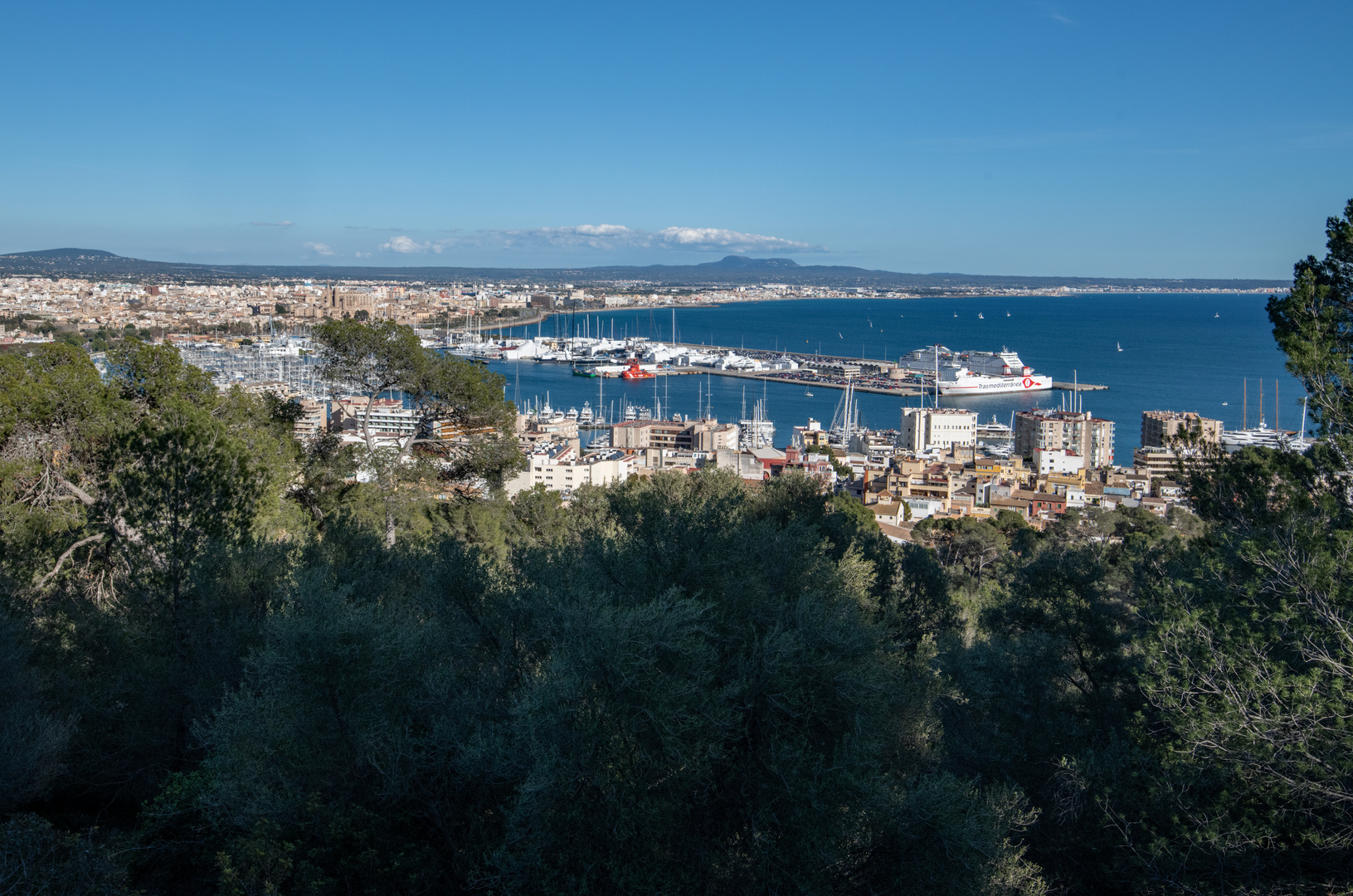 Blick über Palma