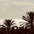 Blick über Palmen zum Atlantik Fuerteventura 