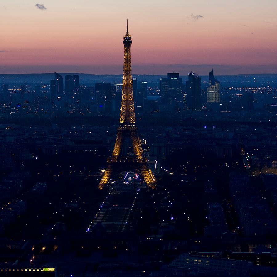 Blick über Paris (3)