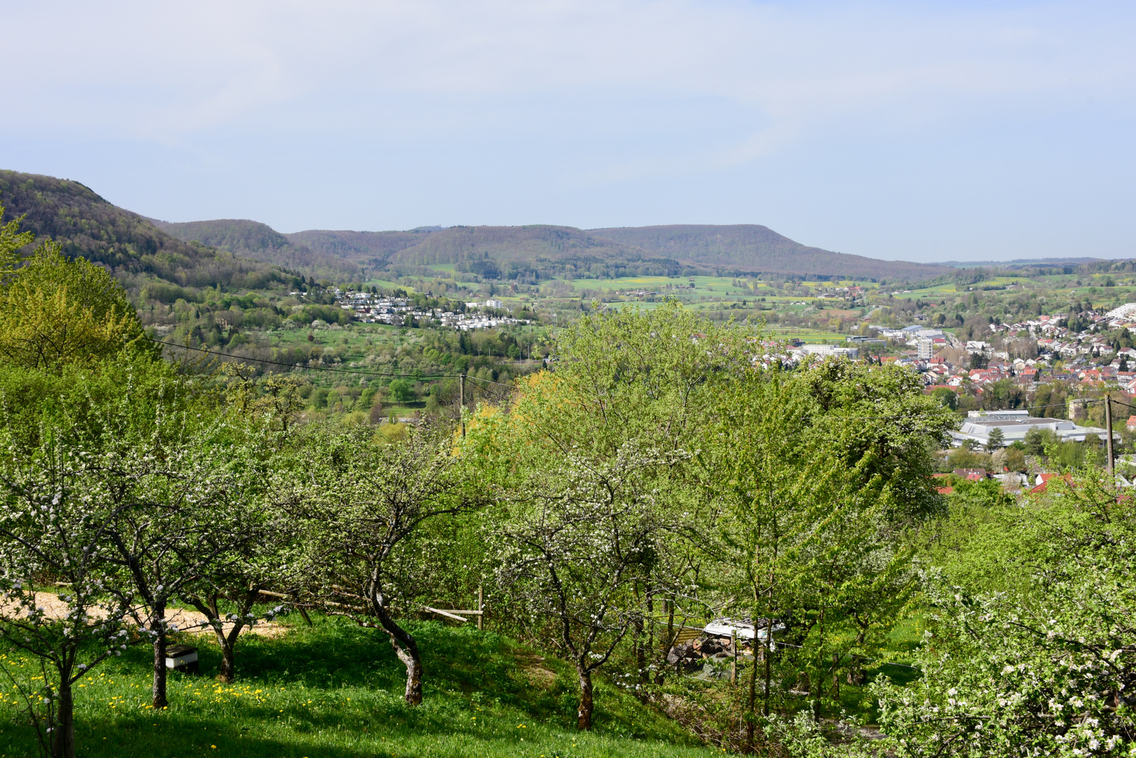 Blick über Pfullingen zum Albtrauf