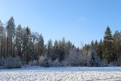 Blick über "Rehwiesen"