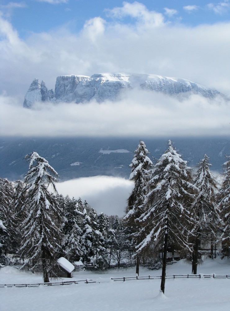 Blick über Ritten gegen Rosengarten