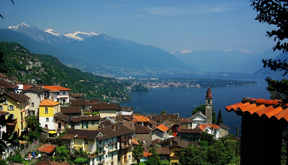 Blick über Ronco und den nördlichen Lago Maggiore. (Tessin)