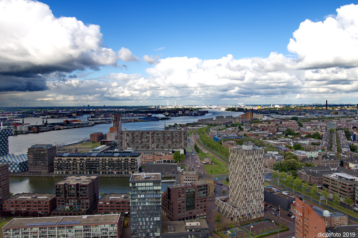 Blick über Rotterdam4