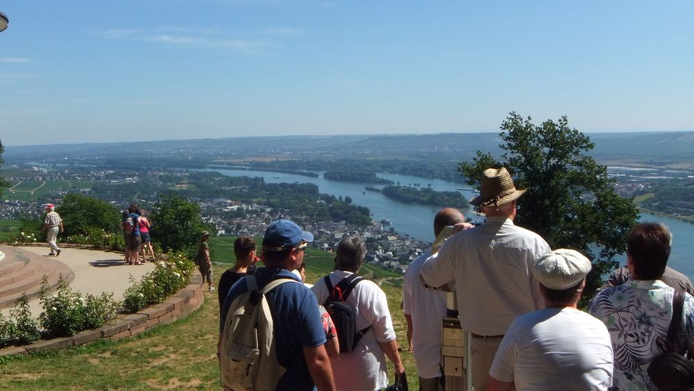 Blick über Rüdesheim 3D