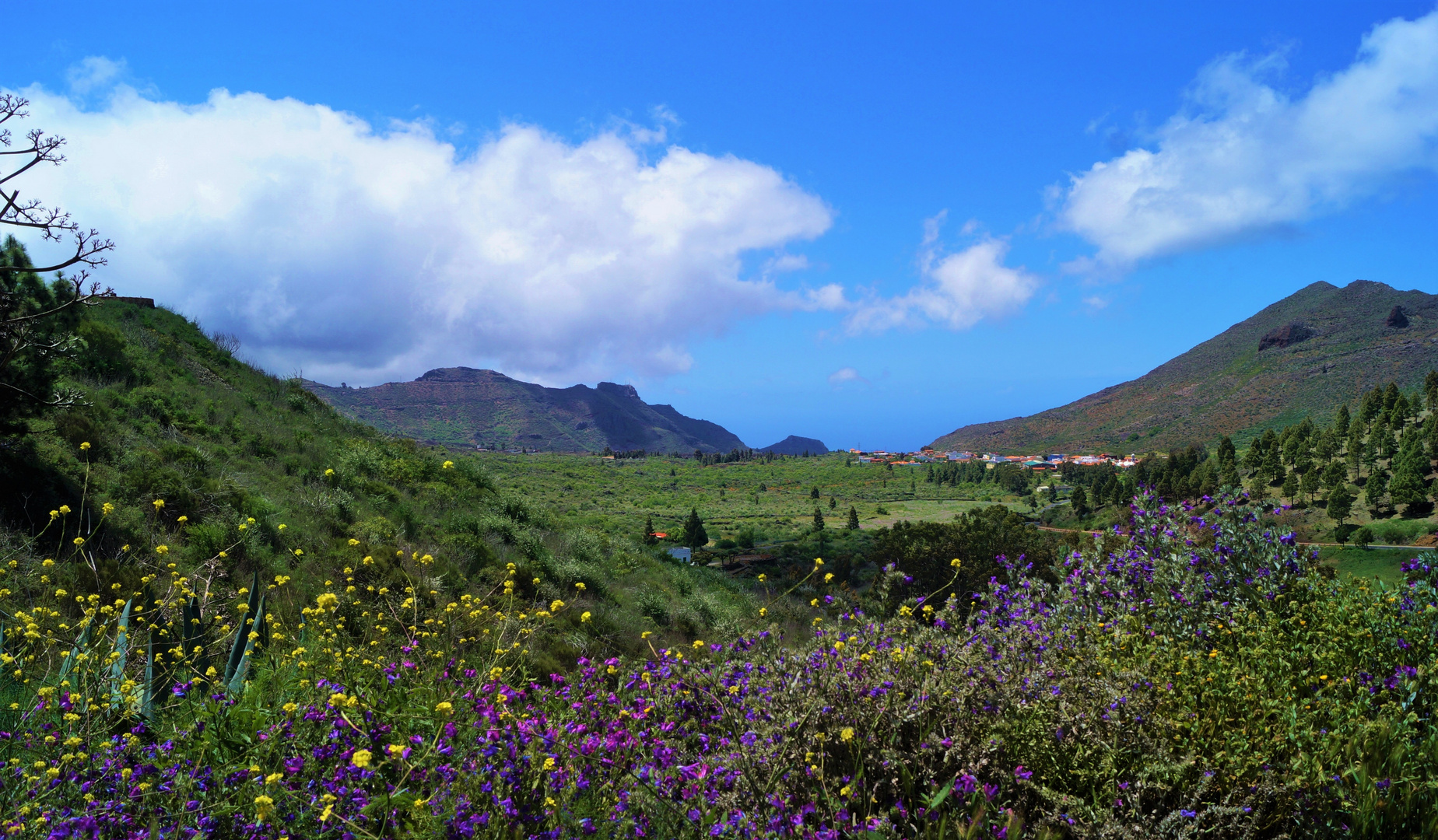 Blick über Santiago del Teide