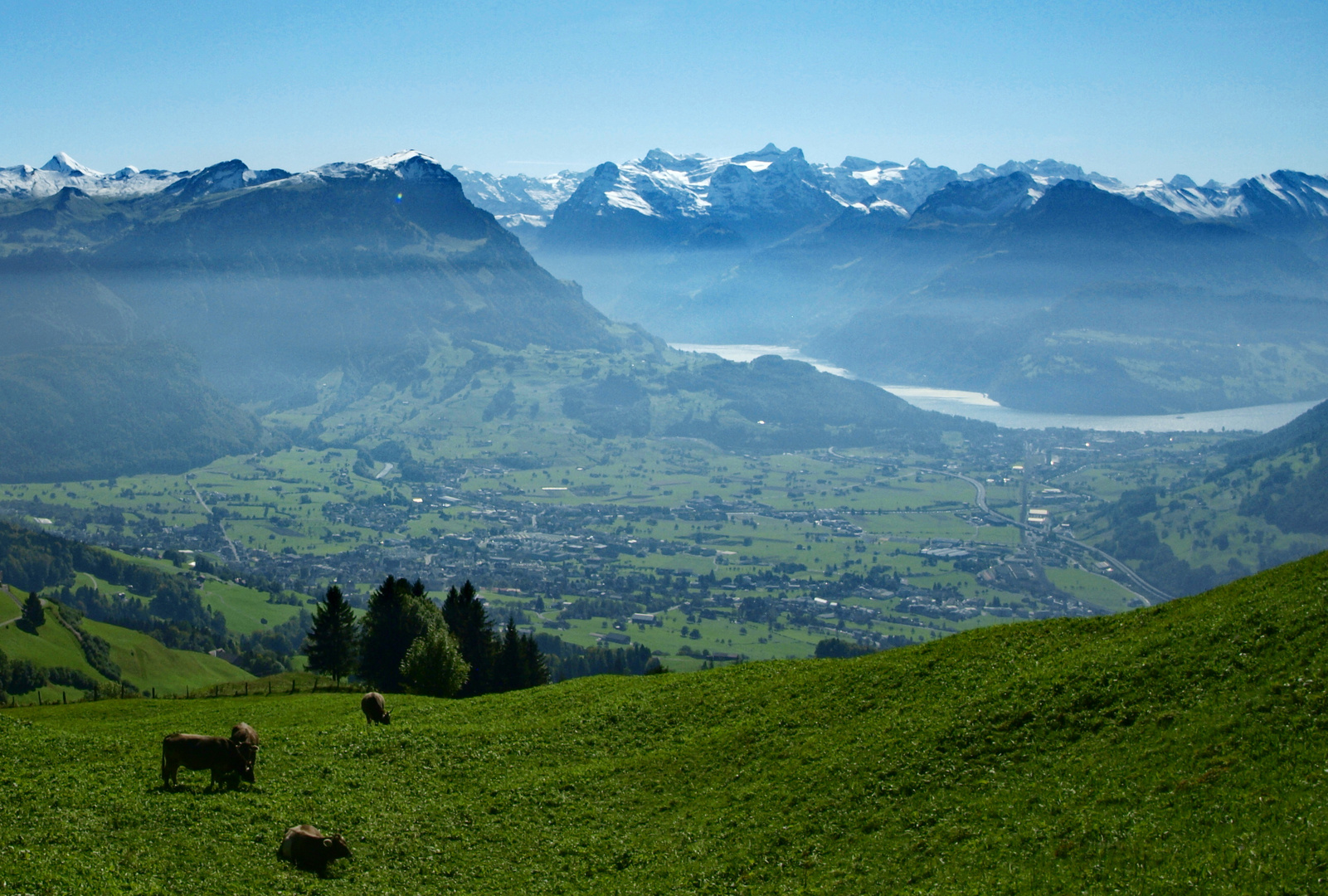 Blick über Schwyz auf den Vierwaldstättersee...