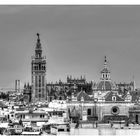Blick über Sevilla