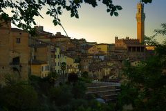 Blick über Siena...Sehnsucht