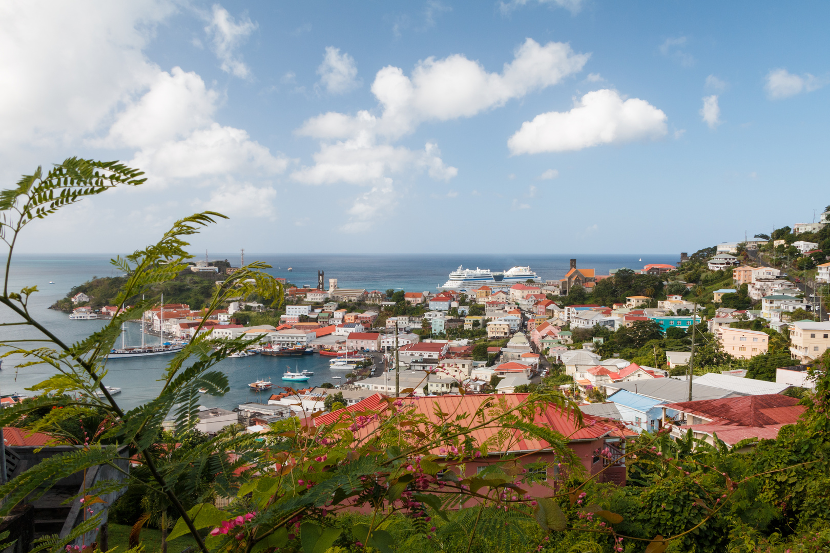 Blick über St. George's (Grenada)