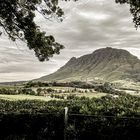 Blick über Stellenbosch in Südafrika 