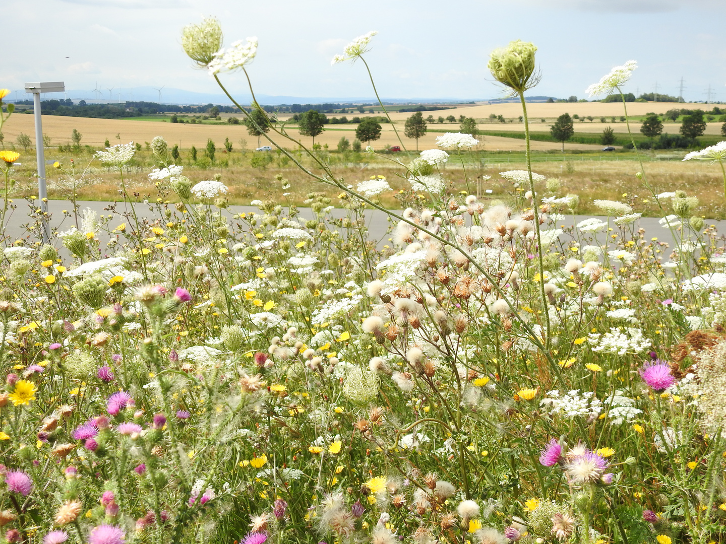 Blick über Steppenlandschaft