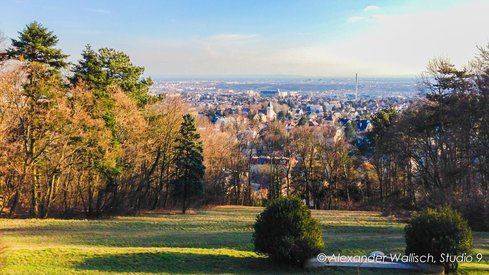 Blick über Teile Wiens