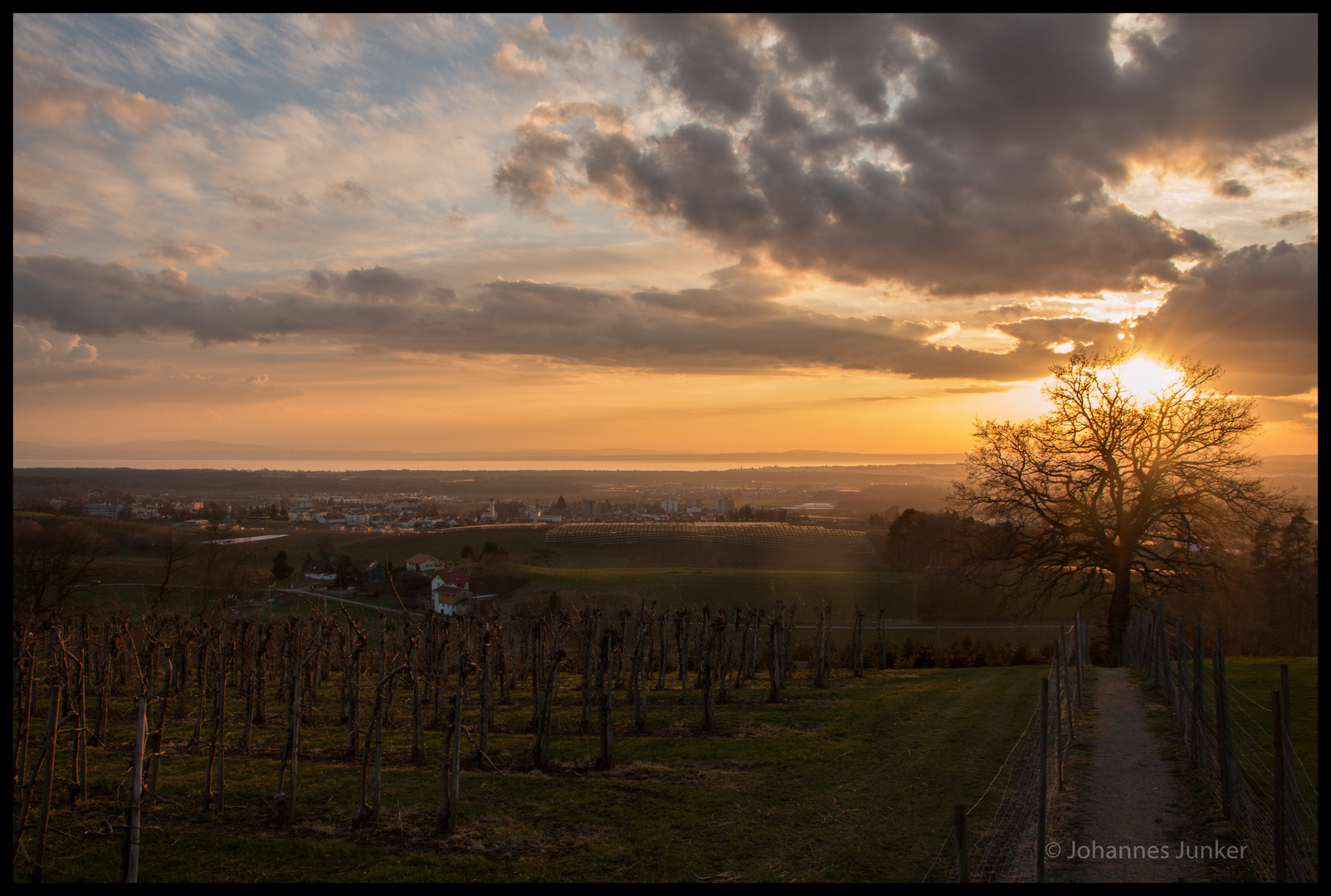 Blick über Tettnang zum Bodensee